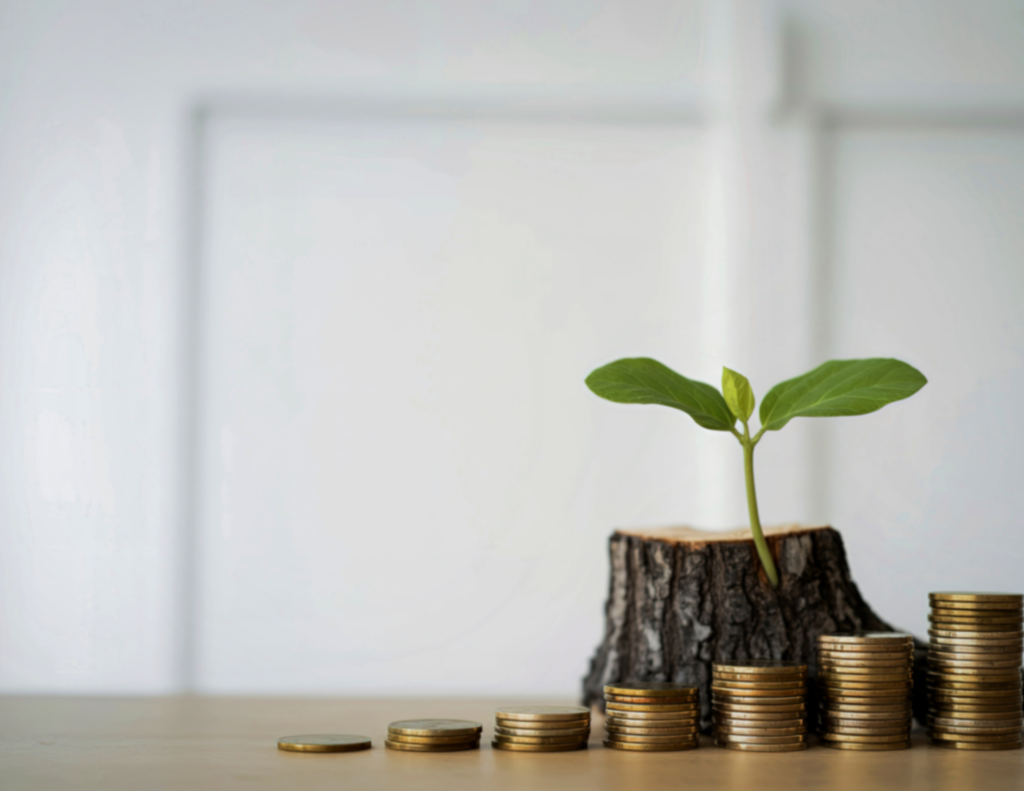 Negative Cash in QuickBooks Is a Big Red Flag 🚩